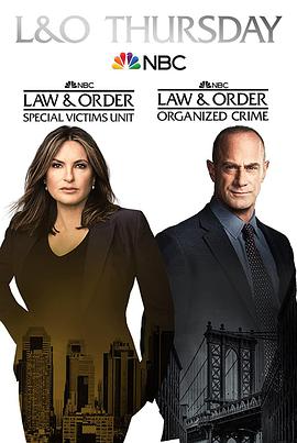 法律与秩序：特殊受害者第二十三季海报剧照