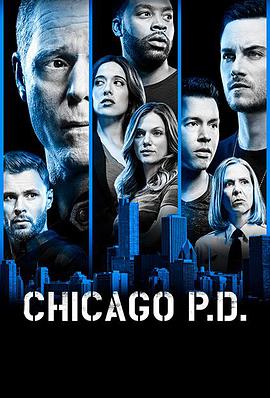 芝加哥警署 第6季