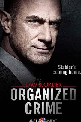 法律与秩序：组织犯罪 第1季海报剧照